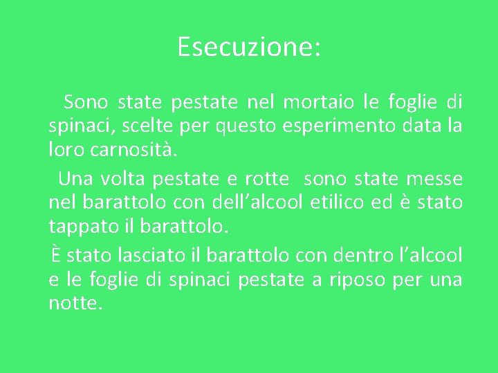 Esecuzione: Sono state pestate nel mortaio le foglie di spinaci, scelte per questo esperimento Esecuzione: Sono state pestate nel mortaio le foglie di spinaci, scelte per questo esperimento