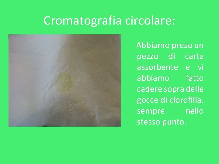 Cromatografia circolare: Abbiamo preso un pezzo di carta assorbente e vi abbiamo fatto cadere Cromatografia circolare: Abbiamo preso un pezzo di carta assorbente e vi abbiamo fatto cadere