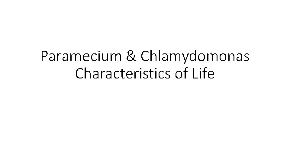 Paramecium & Chlamydomonas Characteristics of Life 