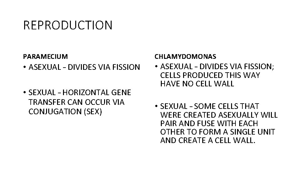 REPRODUCTION PARAMECIUM • ASEXUAL – DIVIDES VIA FISSION • SEXUAL – HORIZONTAL GENE TRANSFER