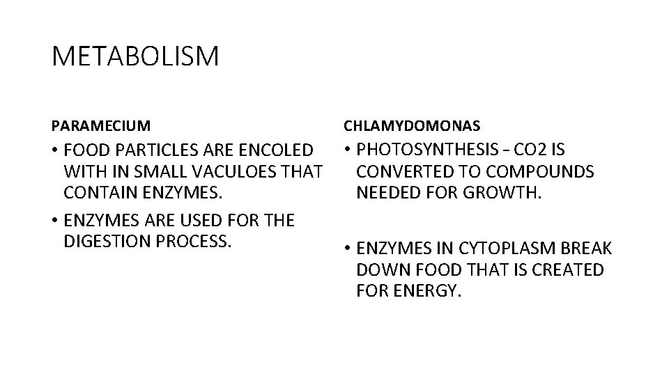 METABOLISM PARAMECIUM • FOOD PARTICLES ARE ENCOLED WITH IN SMALL VACULOES THAT CONTAIN ENZYMES.