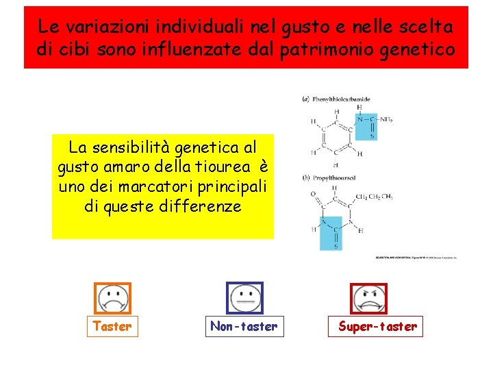 Le variazioni individuali nel gusto e nelle scelta di cibi sono influenzate dal patrimonio