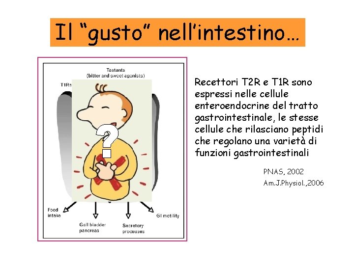 Il “gusto” nell’intestino… Recettori T 2 R e T 1 R sono espressi nelle