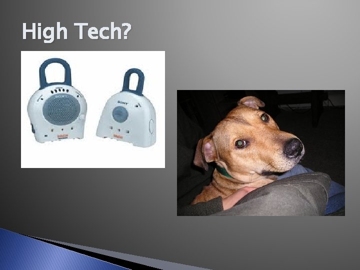 High Tech? High Tech?