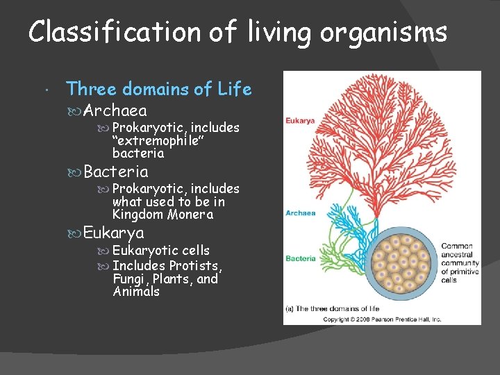 Classification of living organisms Three domains of Life Archaea Prokaryotic, includes “extremophile” bacteria Bacteria