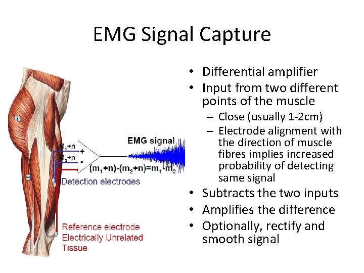 EMG Signal Capture • Differential amplifier • Input from two different points of the