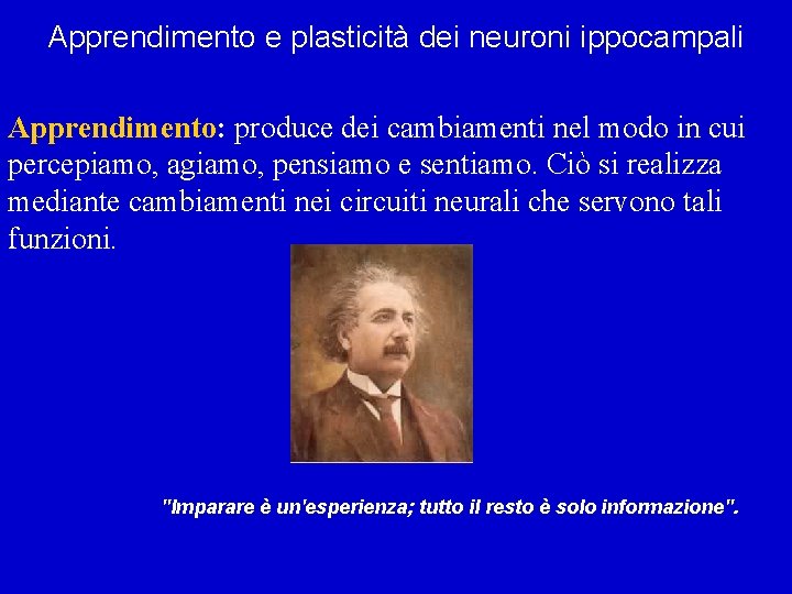 Apprendimento e plasticità dei neuroni ippocampali Apprendimento: produce dei cambiamenti nel modo in cui