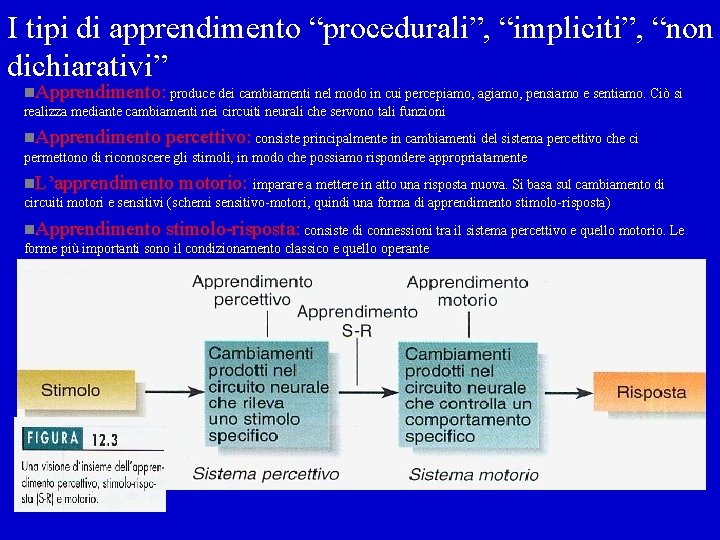 I tipi di apprendimento “procedurali”, “impliciti”, “non dichiarativi” n. Apprendimento: produce dei cambiamenti nel