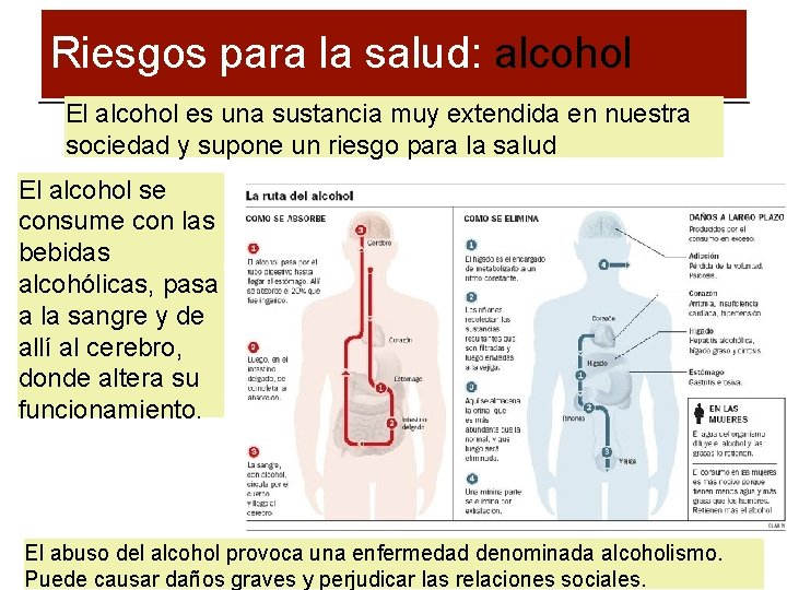 Riesgos para la salud: alcohol El alcohol es una sustancia muy extendida en nuestra