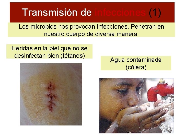 Transmisión de infecciones (1) Los microbios nos provocan infecciones. Penetran en nuestro cuerpo de