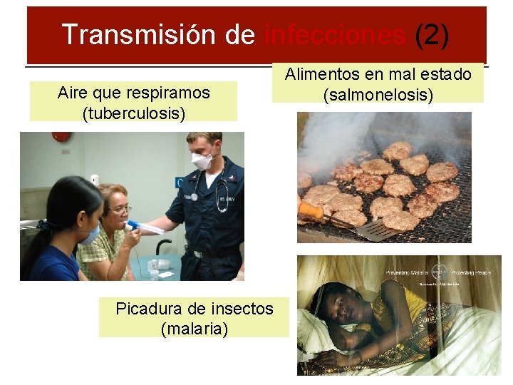 Transmisión de infecciones (2) Aire que respiramos (tuberculosis) Picadura de insectos (malaria) Alimentos en