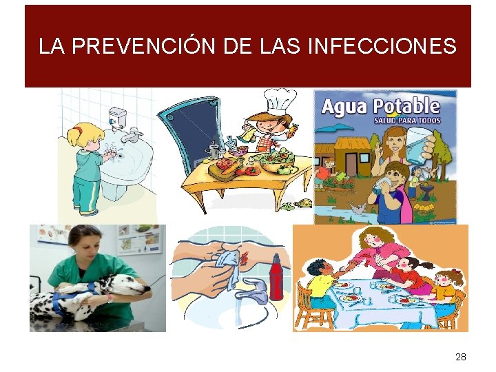 LA PREVENCIÓN DE LAS INFECCIONES 28 