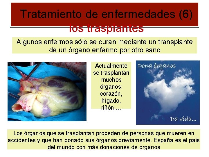 Tratamiento de enfermedades (6) los trasplantes Algunos enfermos sólo se curan mediante un transplante