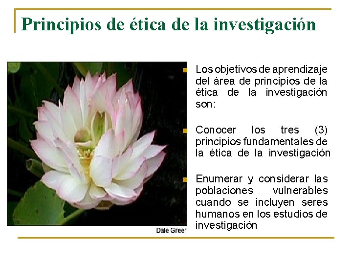 Principios de ética de la investigación n Los objetivos de aprendizaje del área de