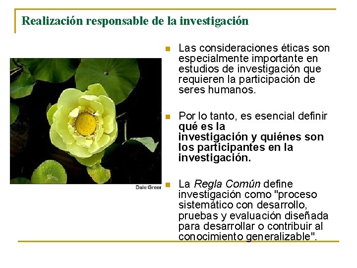 Realización responsable de la investigación n Las consideraciones éticas son especialmente importante en estudios