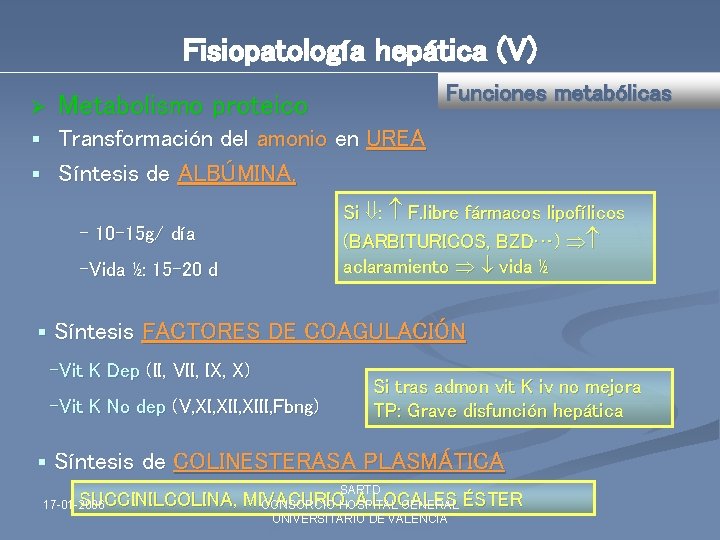 Fisiopatología hepática (V) Ø Funciones metabólicas Metabolismo proteico Transformación del amonio en UREA §