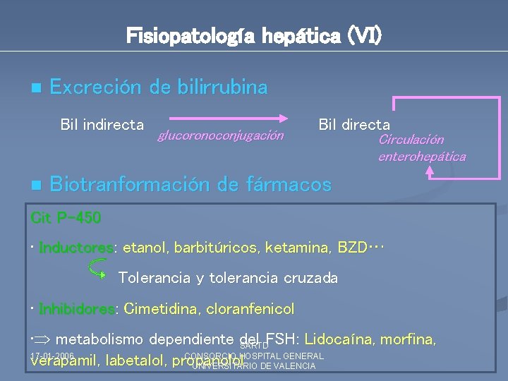 Fisiopatología hepática (VI) n Excreción de bilirrubina Bil indirecta n glucoronoconjugación Bil directa Circulación