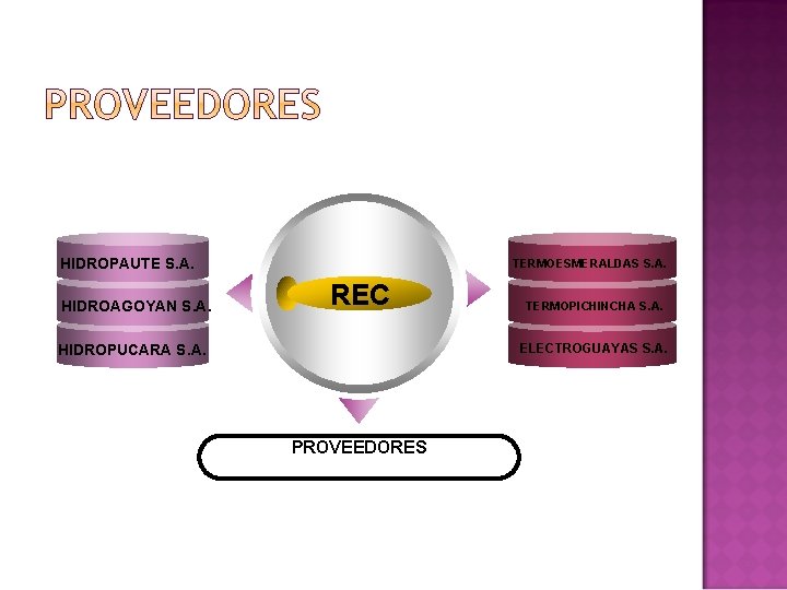 HIDROPAUTE S. A. HIDROAGOYAN S. A. TERMOESMERALDAS S. A. REC TERMOPICHINCHA S. A. ELECTROGUAYAS