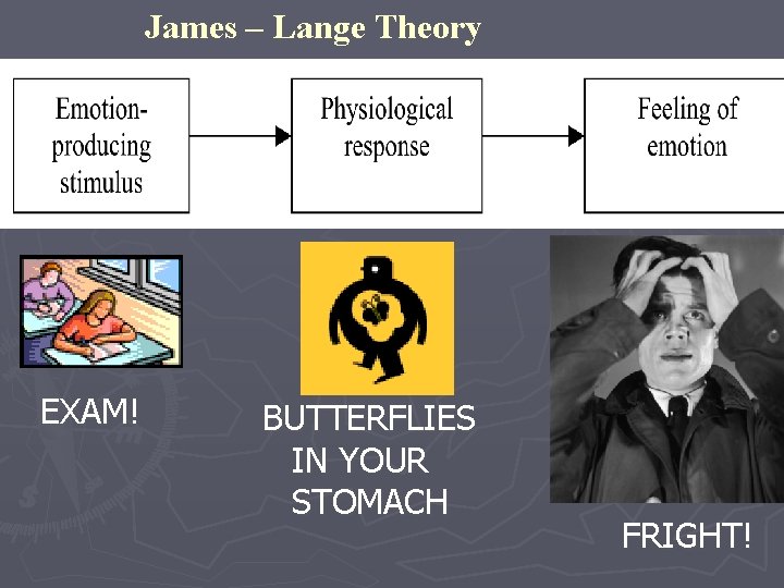 James – Lange Theory EXAM! BUTTERFLIES IN YOUR STOMACH FRIGHT! 