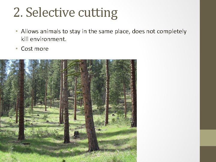 2. Selective cutting • Allows animals to stay in the same place, does not