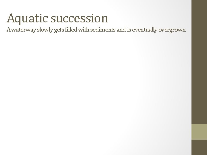 Aquatic succession A waterway slowly gets filled with sediments and is eventually overgrown 