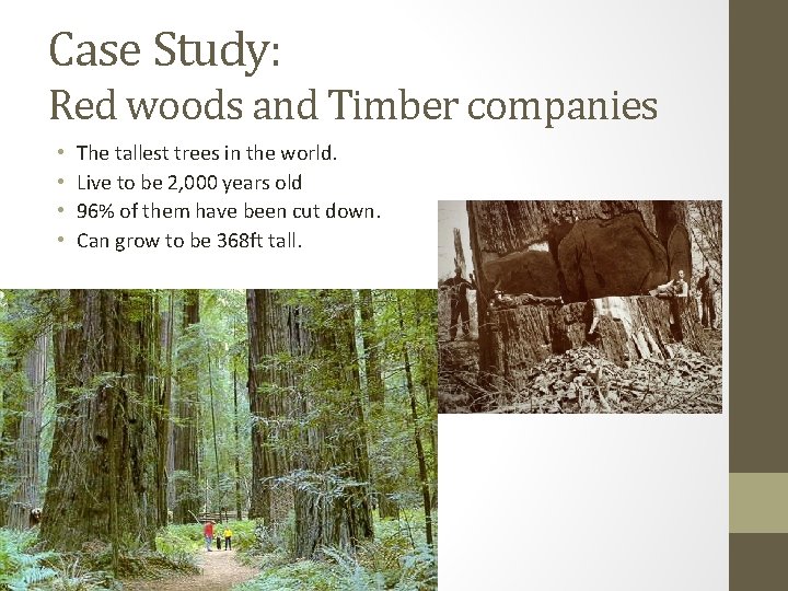 Case Study: Red woods and Timber companies • • The tallest trees in the