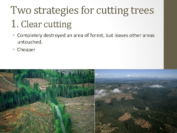 Two strategies for cutting trees 1. Clear cutting • Completely destroyed an area of