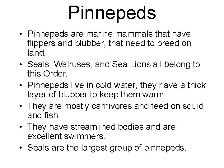 Pinnepeds • Pinnepeds are marine mammals that have flippers and blubber, that need to