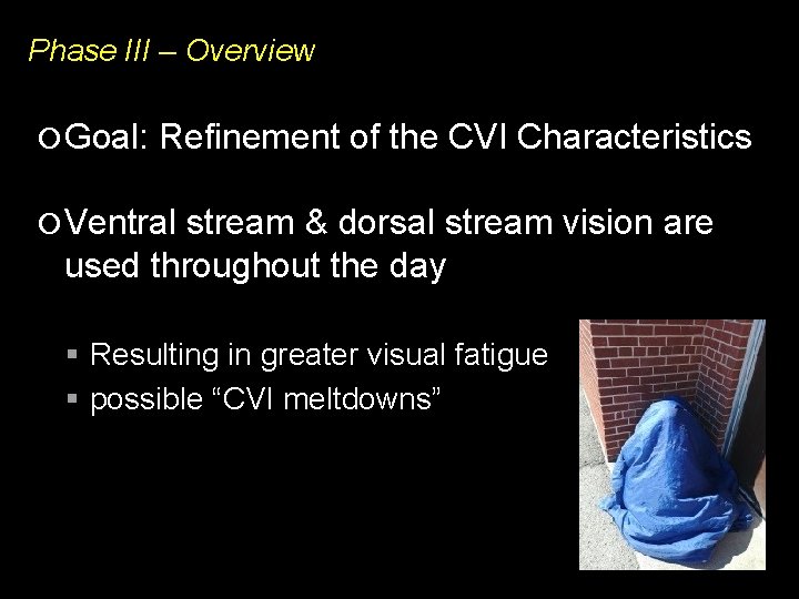 Phase III – Overview Goal: Refinement of the CVI Characteristics Ventral stream & dorsal