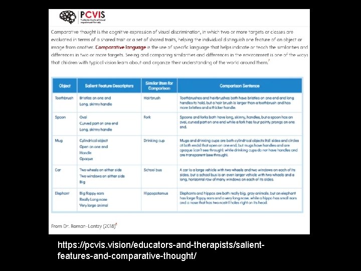 https: //pcvis. vision/educators-and-therapists/salientfeatures-and-comparative-thought/ 