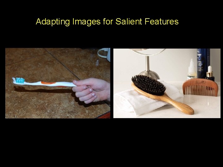 Adapting Images for Salient Features 