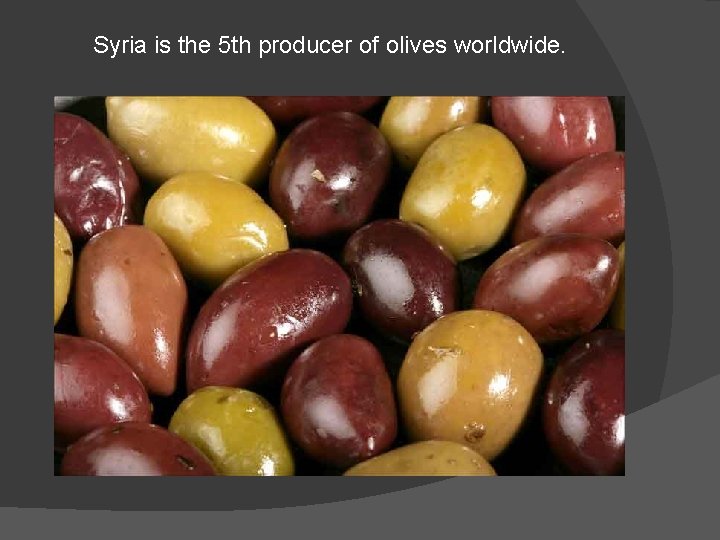Syria is the 5 th producer of olives worldwide. 