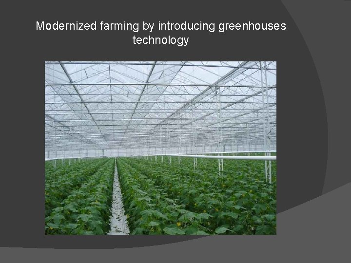 Modernized farming by introducing greenhouses technology 