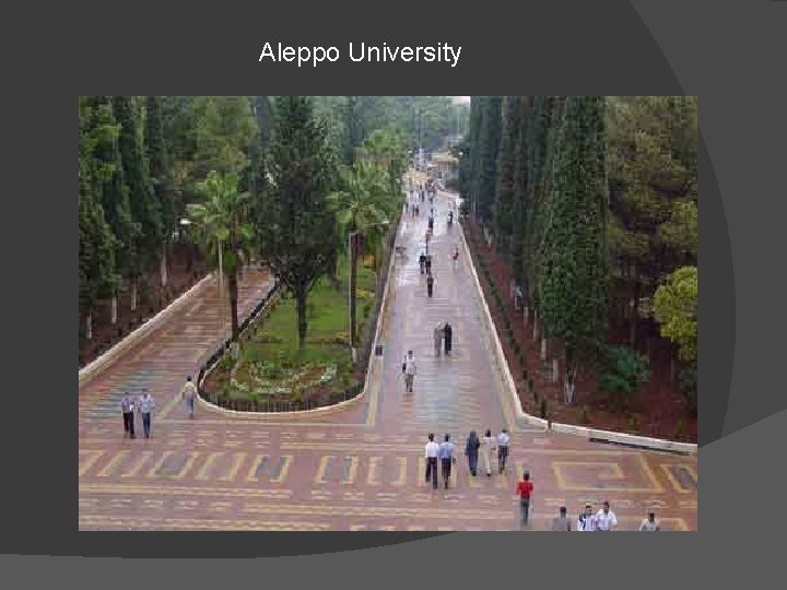 Aleppo University 