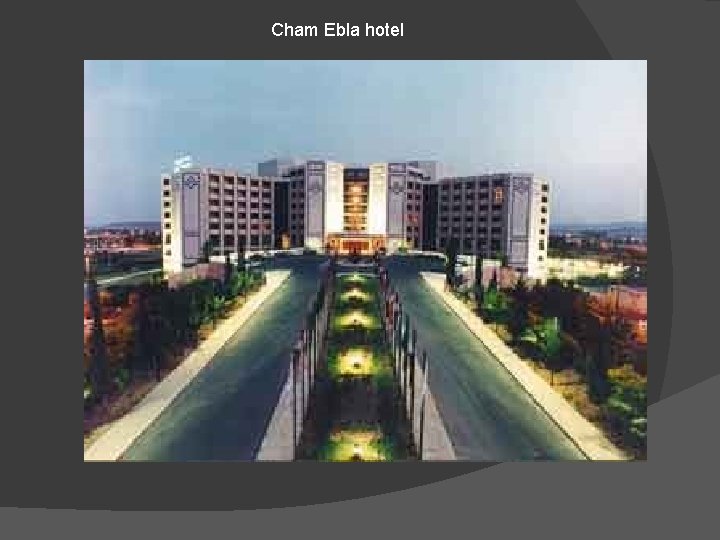 Cham Ebla hotel 