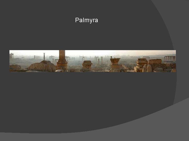 Palmyra 