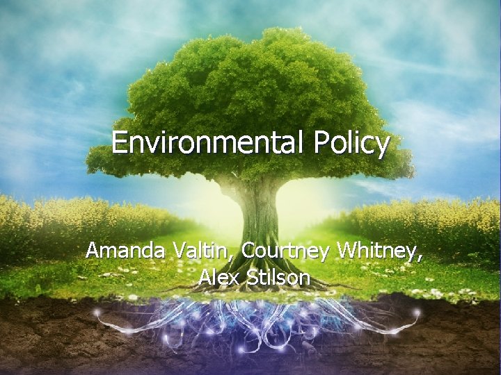 Environmental Policy Amanda Valtin, Courtney Whitney, Alex Stilson 