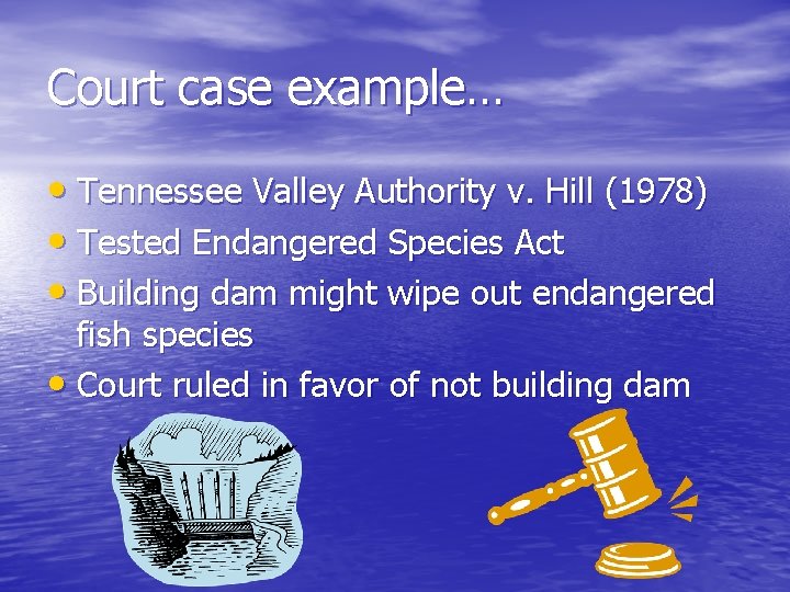 Court case example… • Tennessee Valley Authority v. Hill (1978) • Tested Endangered Species