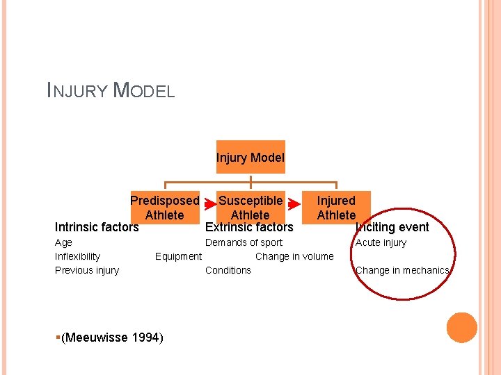 Extrinsic Injury Examples MINIMIZING INJURY RISK IN YOUNG ATHLETES Neeru Jayanthi