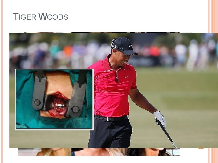 TIGER WOODS TIGER WOODS