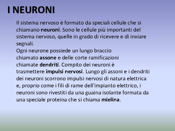 I NEURONI Il sistema nervoso è formato da speciali cellule che si chiamano neuroni.