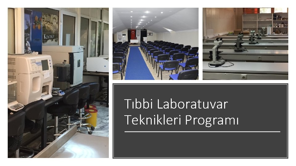 Tıbbi Laboratuvar Teknikleri Programı Tıbbi Laboratuvar Teknikleri Programı