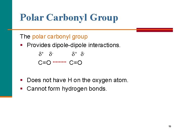 Polar Carbonyl Group The polar carbonyl group § Provides dipole interactions. + + C=O