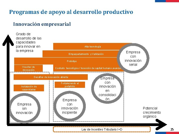 Programas de apoyo al desarrollo productivo Innovación empresarial Grado de desarrollo de las capacidades