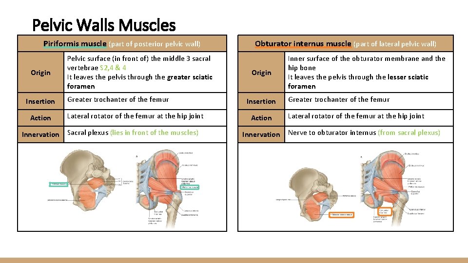 Objectives At the end of the lecture students