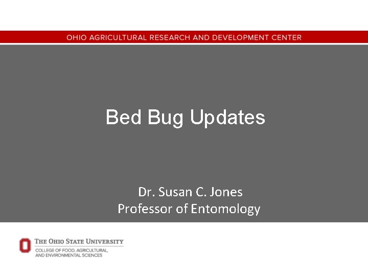 Bed Bug Updates Dr. Susan C. Jones Professor of Entomology 