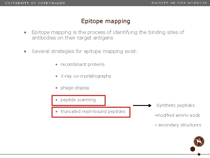 Epitope mapping • Epitope mapping is the process of identifying the binding sites of