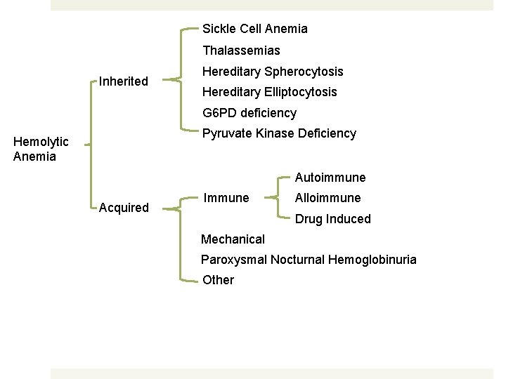 Sickle Cell Anemia Thalassemias Inherited Hereditary Spherocytosis Hereditary Elliptocytosis G 6 PD deficiency Pyruvate