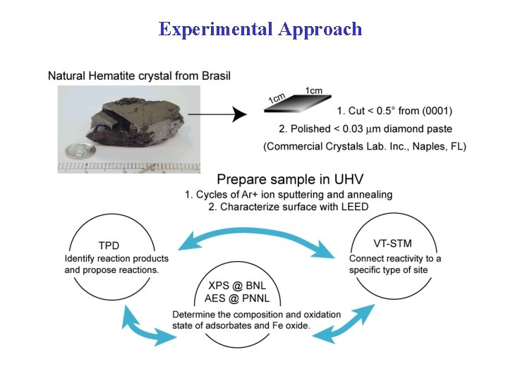 Experimental Approach 