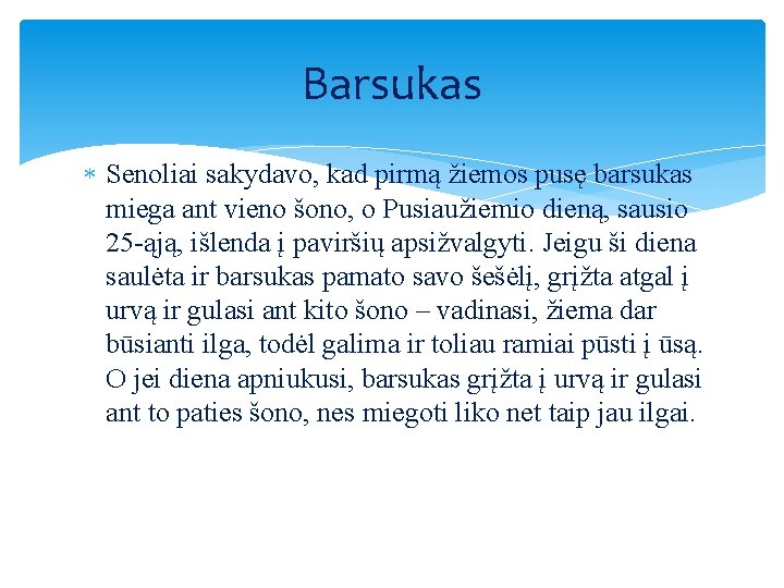 Barsukas Senoliai sakydavo, kad pirmą žiemos pusę barsukas miega ant vieno šono, o Pusiaužiemio